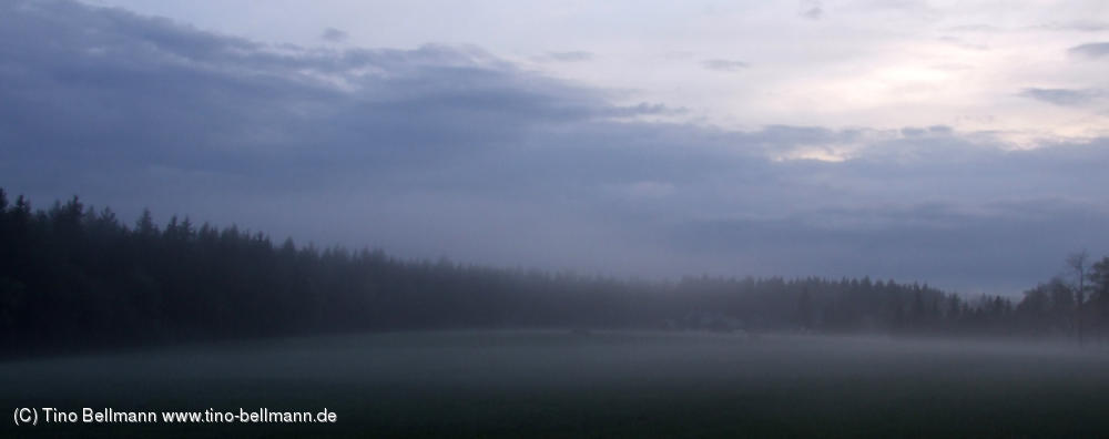 Eine Kulisse zum Horrorfilme-drehen gab es heute in Neuhermsdorf