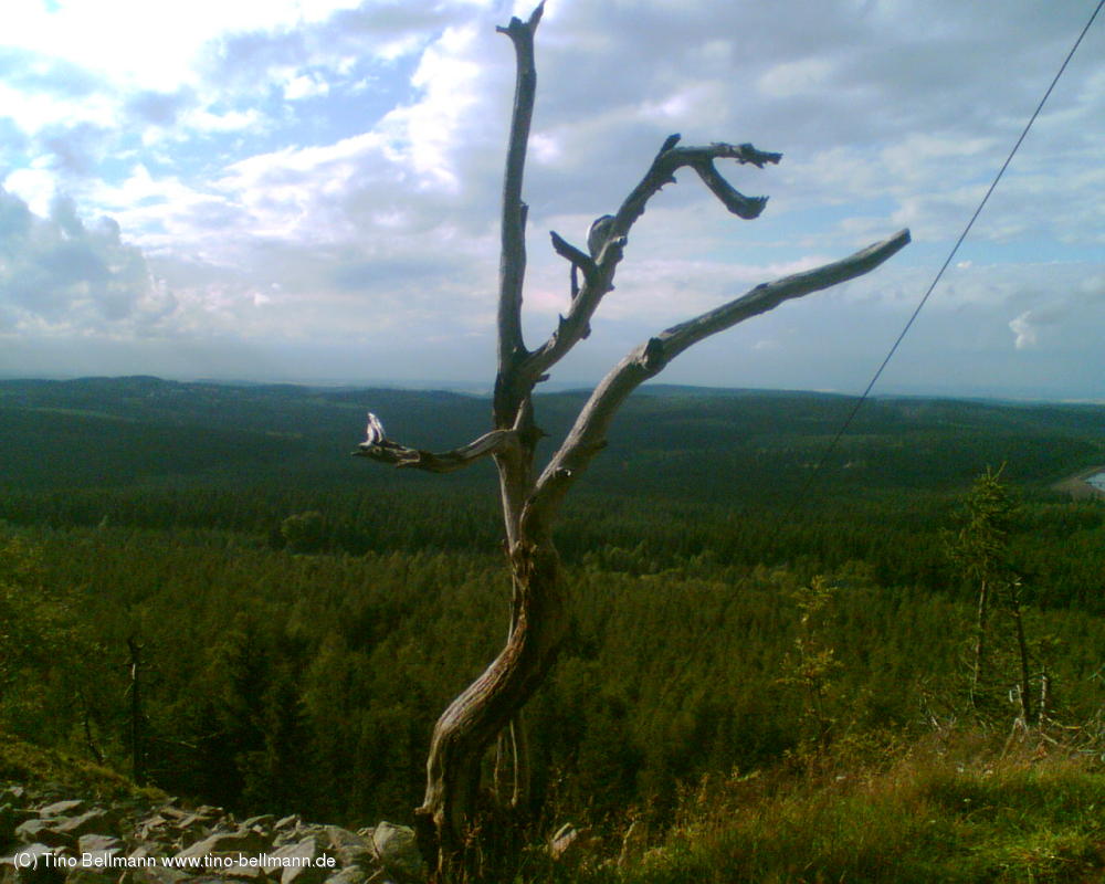 Auf dem Kahleberg bei Altenberg - 17.7.2012