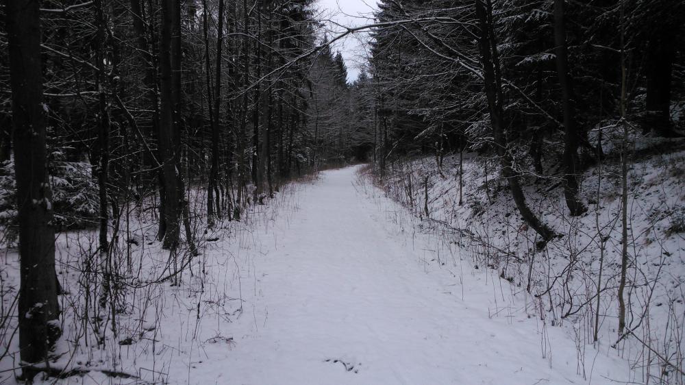 Bahndammloipe Holzhau am 21.1.2015