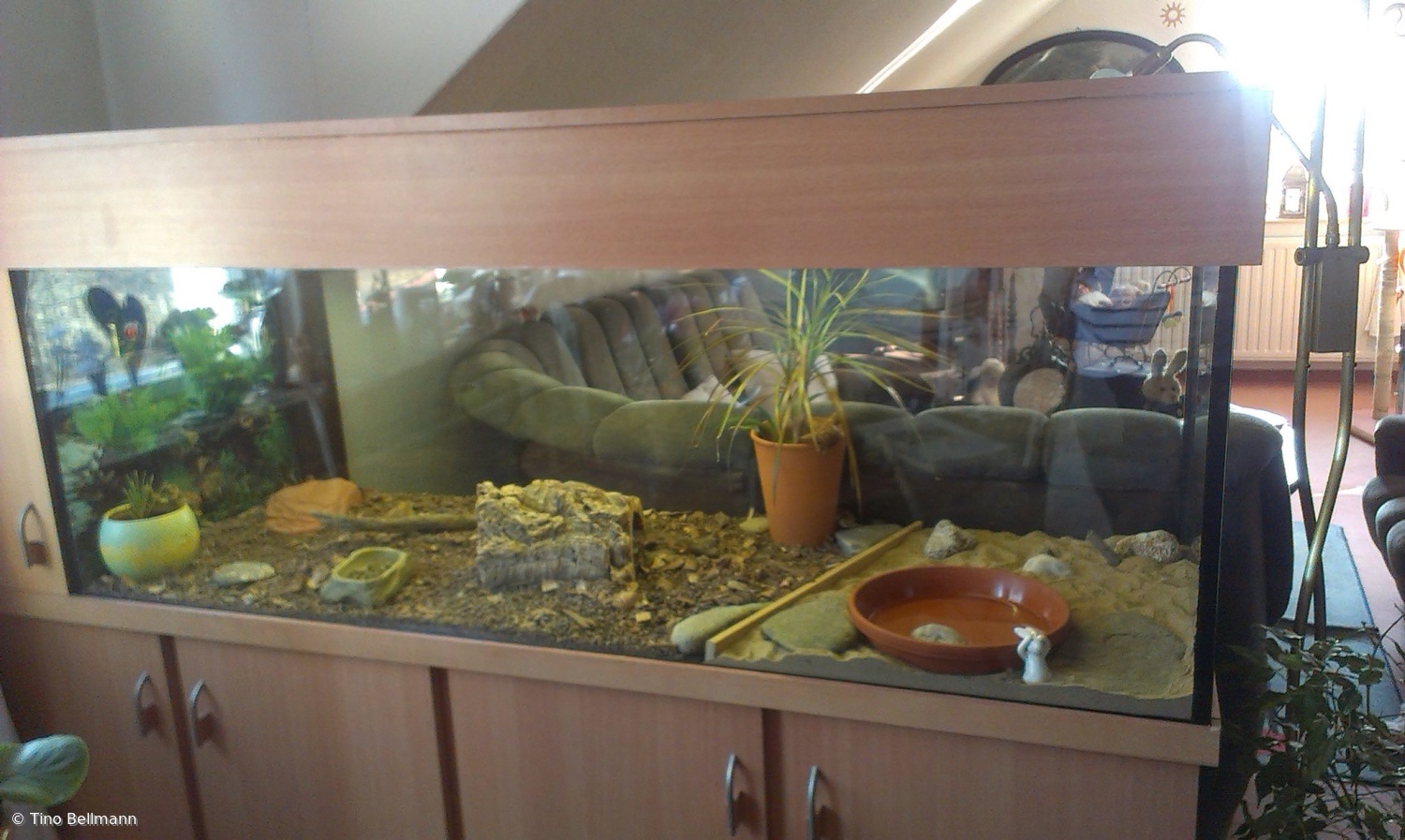Unser Büroaquarium wurde verschenkt und hat einen neuen Standplatz